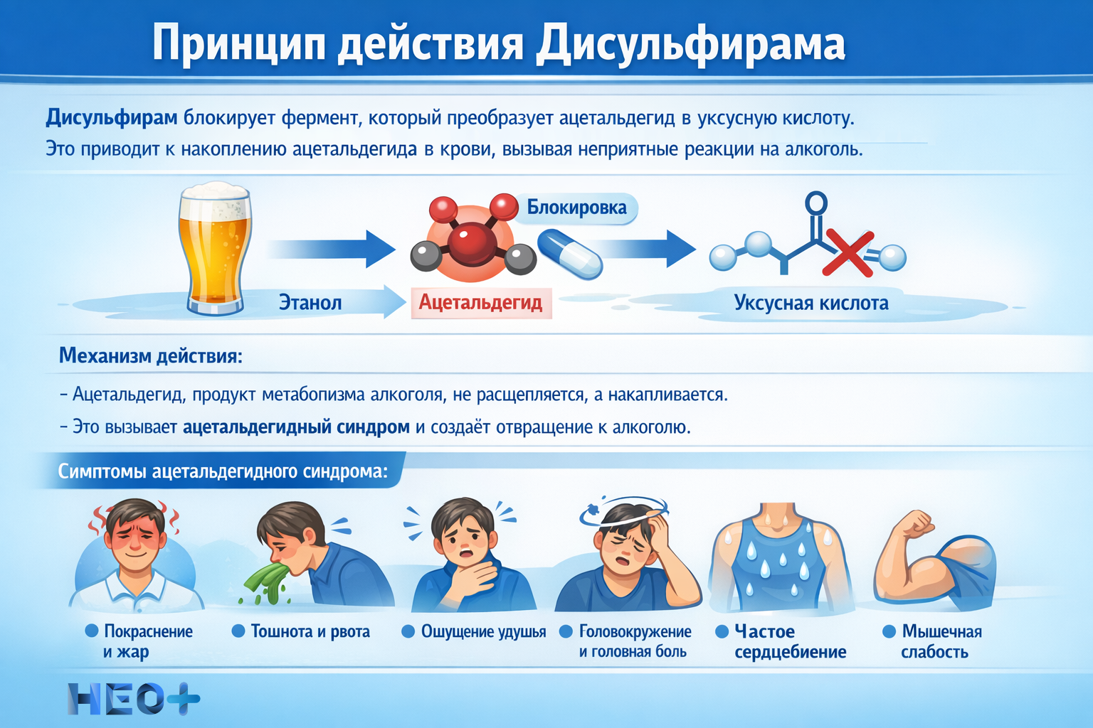 Принцип действия Дисульфирама инфографика